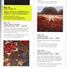 Art New Orleans page 51