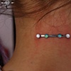 Link Bar (piercing and photo by Steve Truitt)