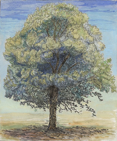 Oak Tree