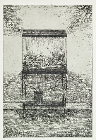 Aquarium