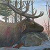 Caribou