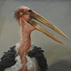 Stork