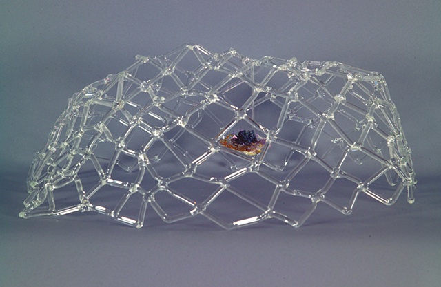 Craticula duplex (Double Matrix)
