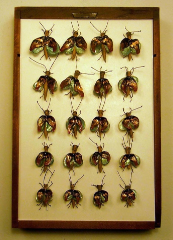 Bug Tray