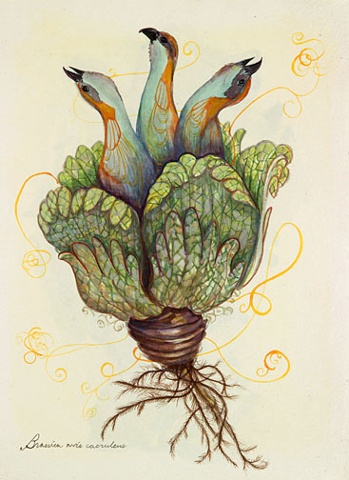 FaunaFlora (Pandion)