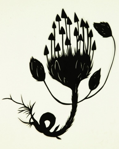 Black Botanical #2
