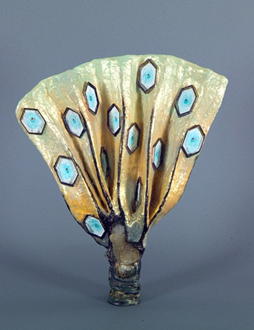 Flabellum scutulatus (Diamond Fan)
