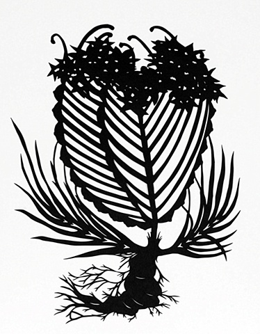 Black Botanical #32