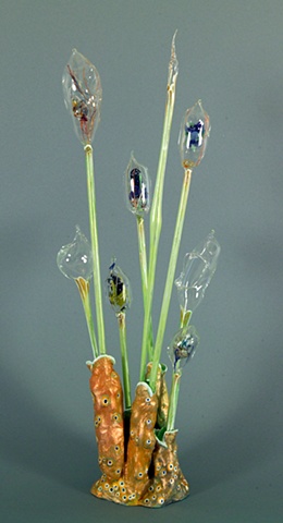 Siliqua volitare (Floating Pods)