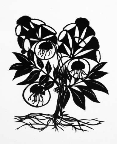 Black Botanical #20