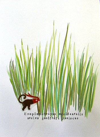 Untitled (Field Note Series)