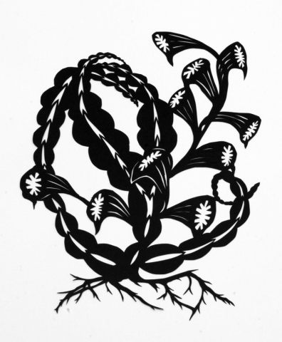 Black Botanical #16