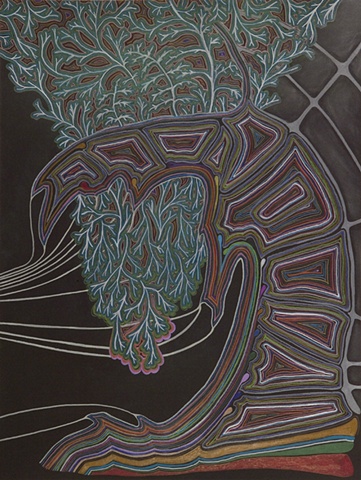 Bioluminescence 3
