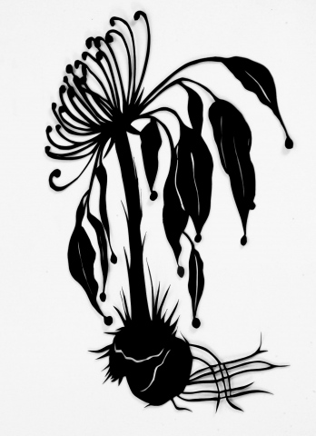 Black Botanical #6