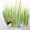 Untitled (Field Note Series)