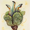 FaunaFlora (Pandion)