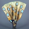 Flabellum scutulatus (Diamond Fan)