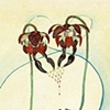FaunaFlora (Scorpiones)
