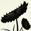 Black Botanical #3