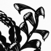 Black Botanical #16