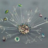 Echinus radiare (Radiating Urchin)
