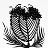 Black Botanical #32