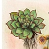 Fauna Flora (Ungus)