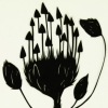 Black Botanical #2