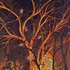 Baroque Biology 1