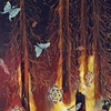 Baroque Biology 4