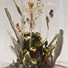 Lumen Effloresco (Blooming Light)