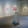 DLG - 2009