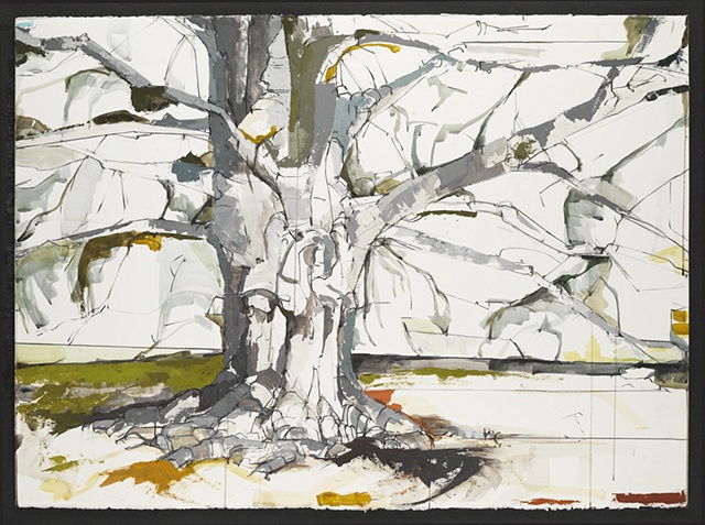 Tree painting Jill Lear