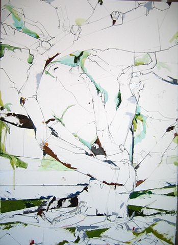 Erythrina Cafrra XII (20100720)