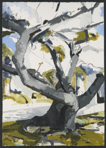 Tree painting Jill Lear