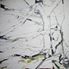40* 54' 01.92" N  73* 54' 44.12" W (01302009 WH11) 
JILL LEAR