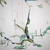 Luxembourg
JILL LEAR