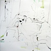 20101105 Territory VI