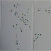 Haiku VIII
JILL LEAR