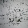 Brooklyn Oak III 
JILL LEAR