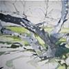 40* 53' 57.77" N 73* 54' 42.56" W (01132009 WH8)
JILL LEAR
SOLD