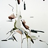 Untitled (20101109)