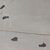 Steps