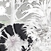 Nothing More Than A Guided Dream (detail)