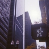 Holga