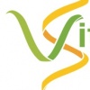 Vitafit