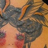 feather