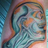 x-ray skull