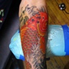 koi