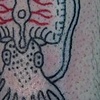 cuttlefish